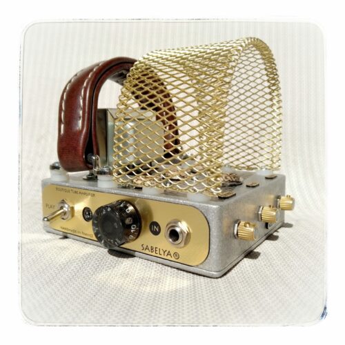 <i class="fas fa-lightbulb"></i> Little Monster Amp